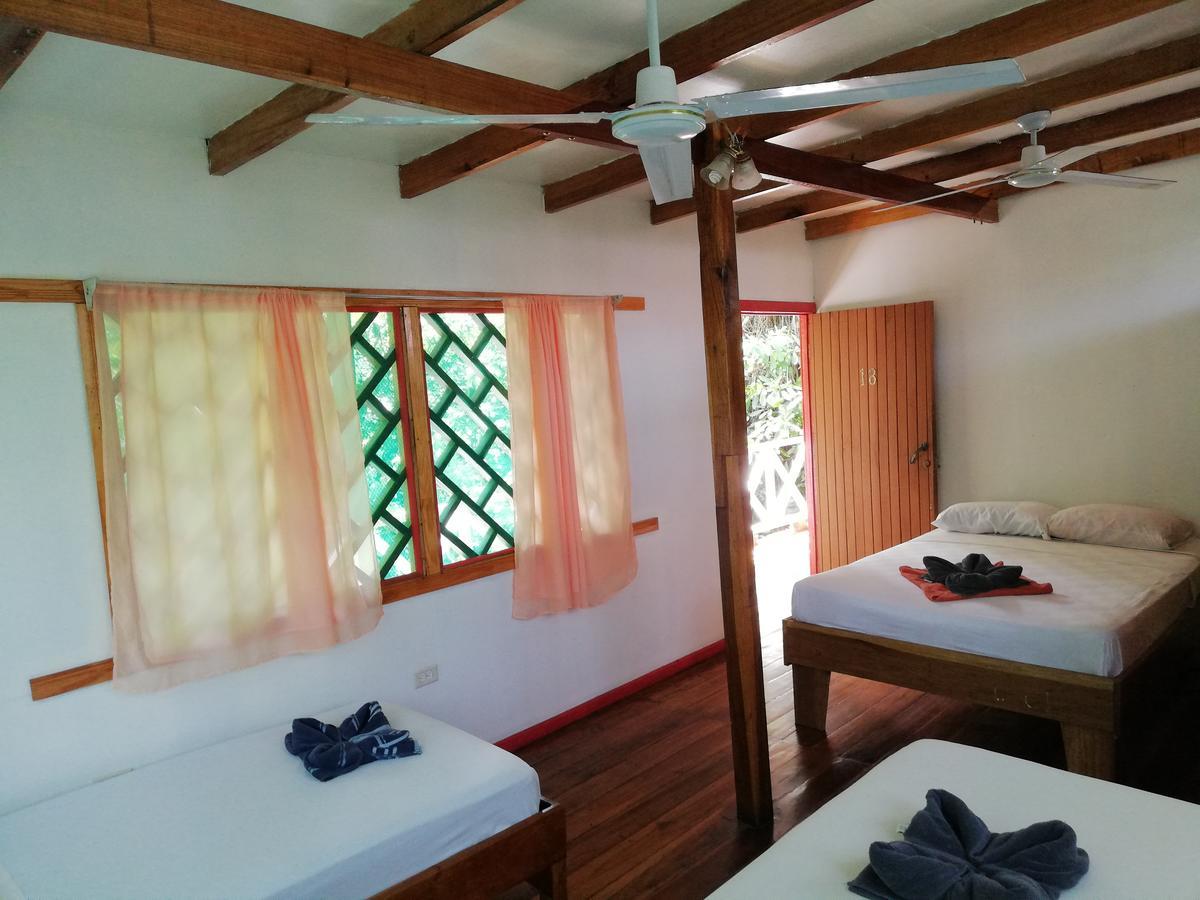 Talamanca Cabins كويتا المظهر الخارجي الصورة
