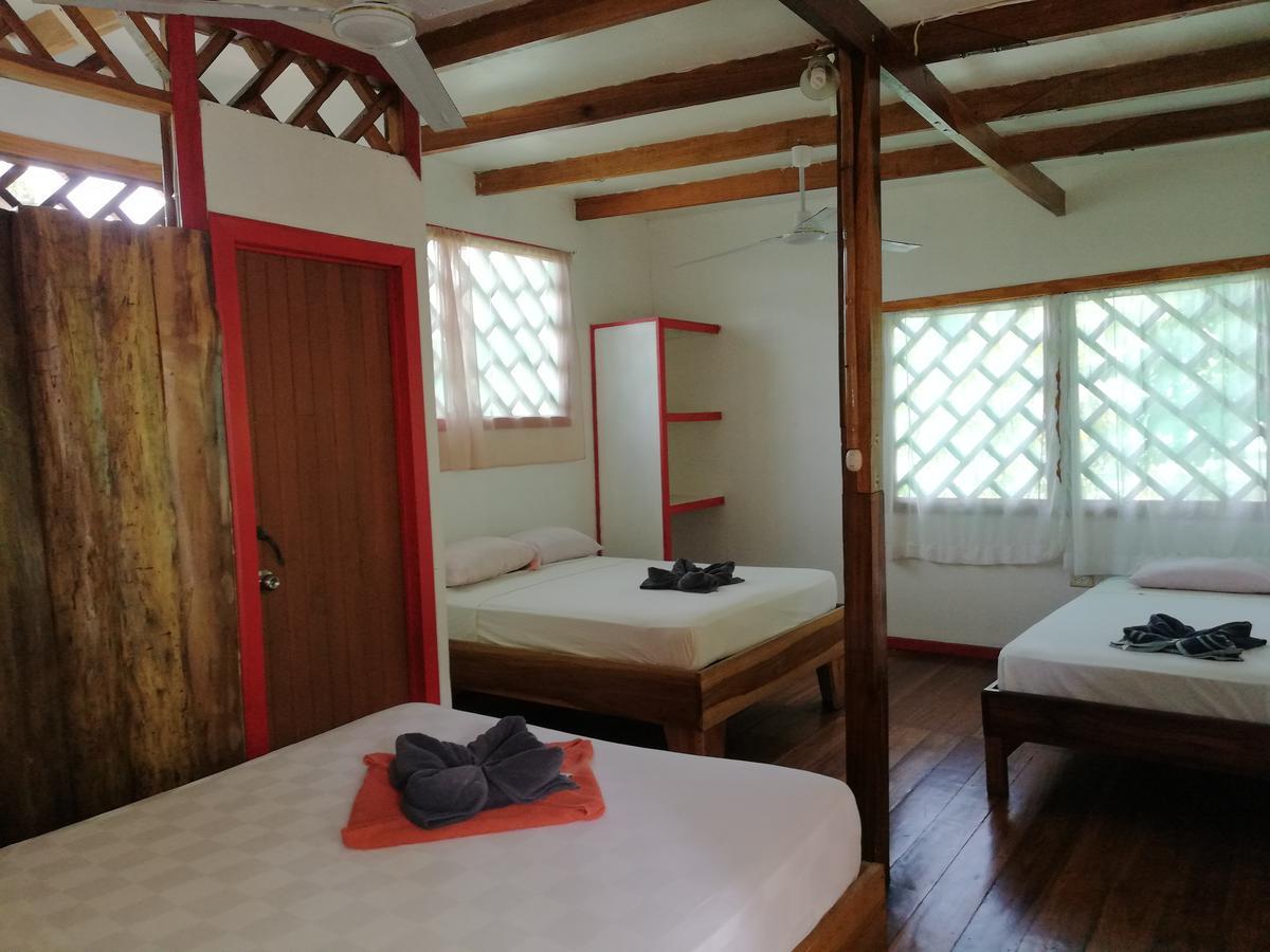 Talamanca Cabins كويتا المظهر الخارجي الصورة