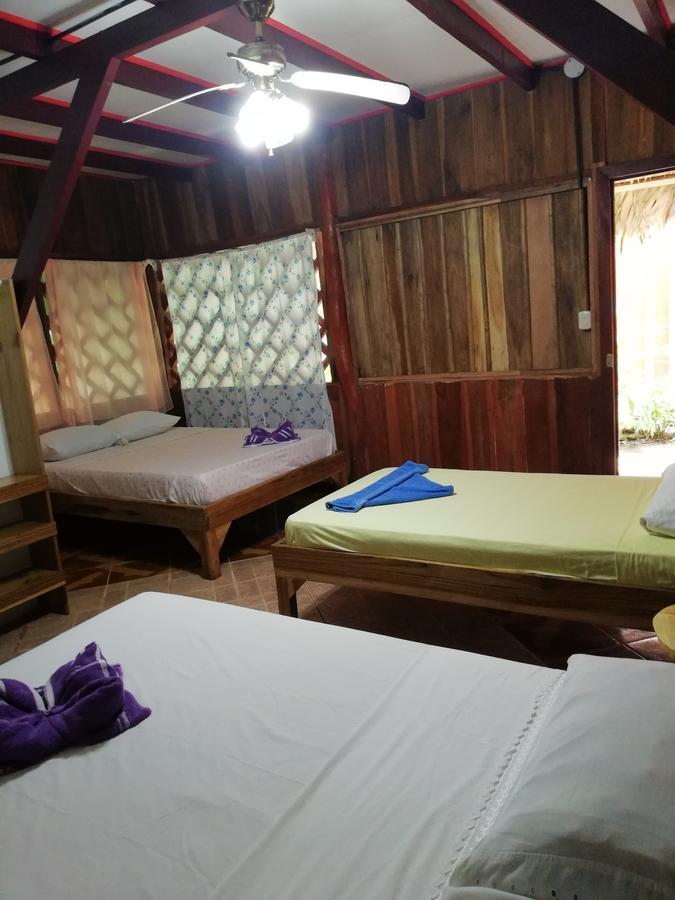 Talamanca Cabins كويتا المظهر الخارجي الصورة